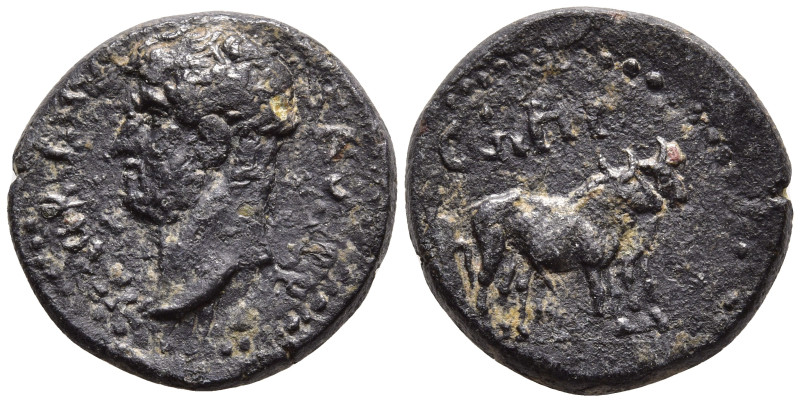 Mysia Parion. Hadrian AD 117-138. Æ HADRIANVS AVG P P, laureate head of Hadrian,...