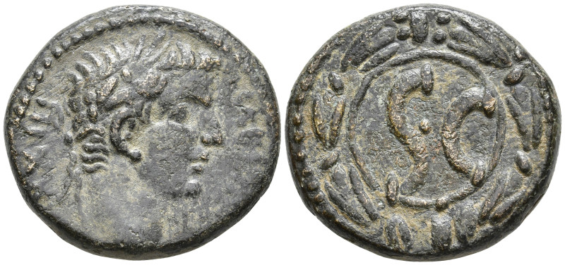 Syria, Seleucis and Pieria. Antioch. Tiberius. 14-37 AD. Laureate head right
Re...