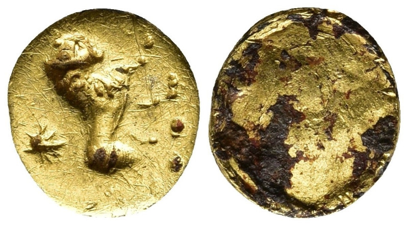 Roman gold lion 0,29g. 7,1