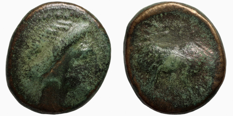 Greek Bronze 
16mm 3,16g