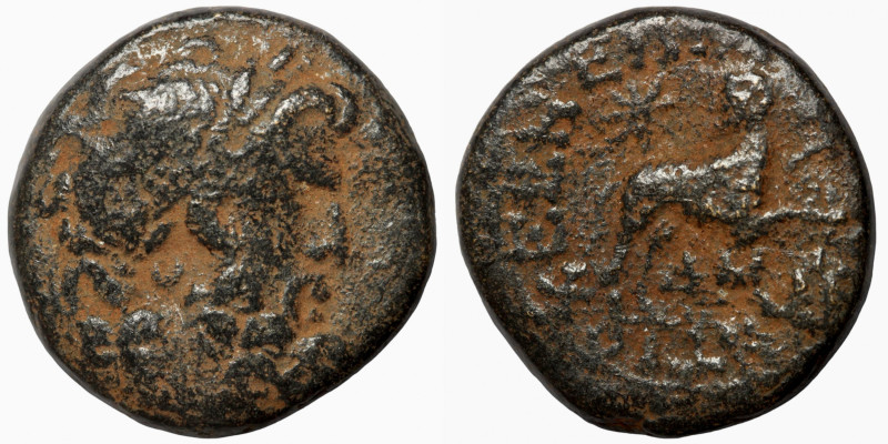 Seleucis and Pieria. Antioch. Pseudo-autonomous issue, time of Augustus, 27 BC-1...