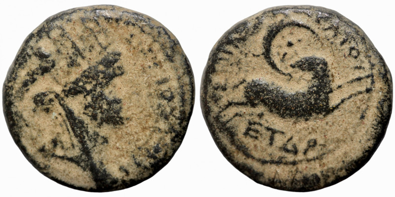 Seleucis and Pieria. Antioch. Pseudo-autonomous issue, time of Nero, 54-68. 
19...