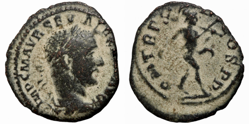 Roman coin
19mm 1,92g