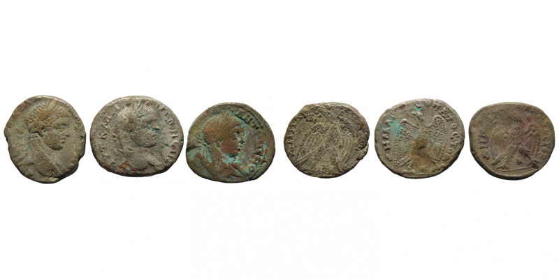 Lot 3 pcs ancient coins
Lot Ancient coins