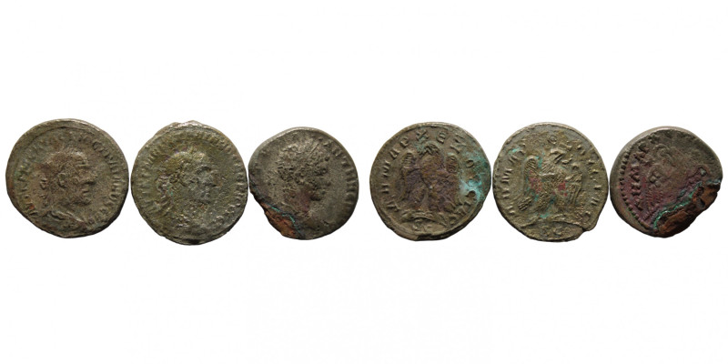 Lot 3 pcs ancient coins
Lot Ancient coins