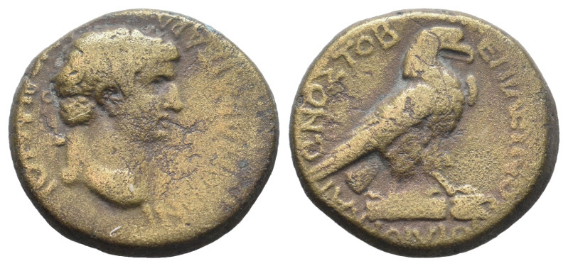 PROVINCIAL COIN. 7.17g 20.4m