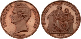 Australia, private issue tokens, London, England. Proof-like specimen strike copper Halfpenny, 1857, PROFESSOR HOLLOWAY LONDON, head left, Rev. HOLLOW...
