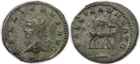 Römische Münzen, MÜNZEN DER RÖMISCHEN KAISERZEIT. Gallienus (253-268 n. Chr). Antoninianus 265 n. Chr. (2,75 g. 21,5 mm) Vs.: GALLIENVS AVG, Büste n. ...