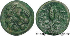 THRACE - THRACIAN CHERSONESE - CHERRONESOS
Type : Unité 
Date : c. 309-220 AC. 
Mint name / Town : Lysimachia, Thrace 
Metal : copper 
Diameter : 15,5...