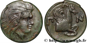 TAURIC CHERSONESE - PANTICAPEUM
Type : demi-unité 
Date : c. 310 -304/303 AC. 
Mint name / Town : Panticapée, Chersonèse Taurique 
Metal : copper 
Dia...