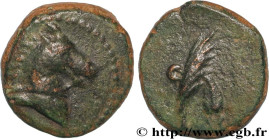 PONTUS - AMISOS
Type : Unité 
Date : c. 130-100 
Mint name / Town : Amisos (?), Pont 
Metal : bronze 
Diameter : 13  mm
Orientation dies : 12  h.
Weig...