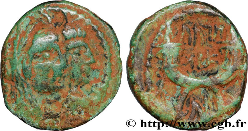 NABATEA - NABATAEAN KINGDOM - ARETAS IV
Type : Unité 
Date : (an 5) 
Mint name /...