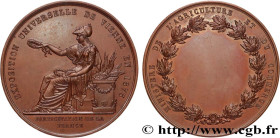 III REPUBLIC
Type : Médaille de récompense, exposition universelle, participation de la France 
Date : 1873 
Metal : copper 
Diameter : 50,5  mm
Weigh...