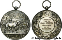 III REPUBLIC
Type : Médaille, Offerte par le Comte d’Elva 
Date : (1906-1925) 
Metal : silver plated bronze 
Diameter : 76,5  mm
Engraver : DEGEORGE C...