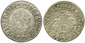 Germany, Preussen, Albrecht Hohenzollern, Groschen 1537, Konigsberg