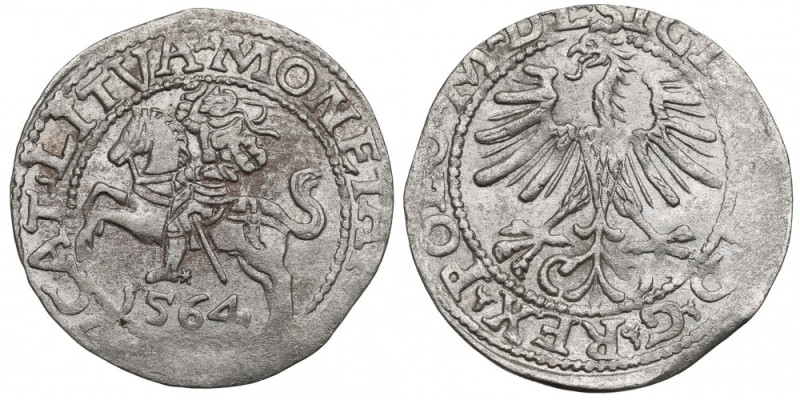 Sigismund II Augustus, Half-groat 1564, Vilnius, L/LITVA Obiegowy egzemplarz. Re...