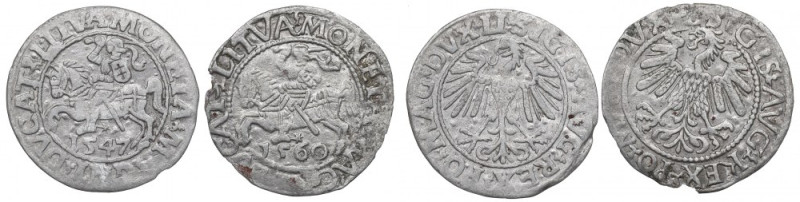 Zygmunt II August, Zestaw półgroszy 1547-60 Obiegowe, czytelne egzemplarze.