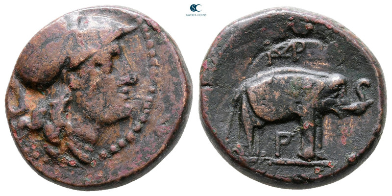 Seleukid Kingdom. Seleukeia on Tigris. Seleukos I Nikator 312-281 BC. 
Bronze Æ...