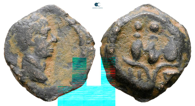 Egypt. Alexandria. Trajan AD 98-117. 
Dichalkon Æ

14 mm, 1,24 g



Fine