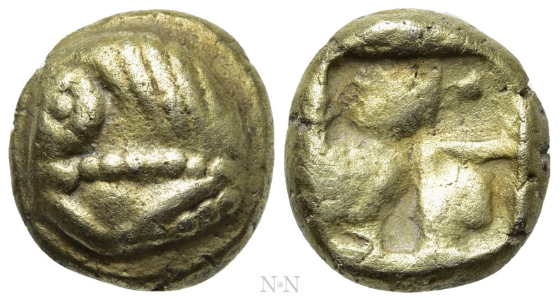 IONIA. Uncertain. Pale EL Hekte (Circa 600-550 BC). 

Obv: Forepart of horse l...