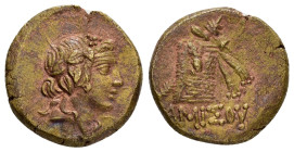 PONTOS.Amisos.Time of Mithradates VI.(Circa 105-90 or 90-85 BC).Ae.

Obv : Head of Dionysos right, wearing ivy wreath.

Rev : AMIΣOY.
Thyrsos leaning ...