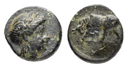 MYSIA. Gambrion.(4th century BC).Ae.

Obv : Laureate head of Apollo right.

Rev : Bull butting left.
SNG France 896-899; SNG Copenhagen 156.

Conditio...