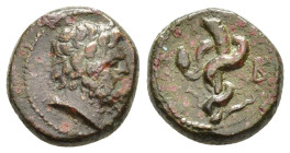 MYSIA. Pergamon. (2nd-1st centuries BC).Ae.

Condition : Good very fine.

Weight : 4.05 gr
Diameter : 15 mm