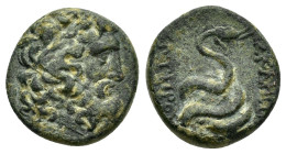 MYSIA. Pergamon.(Circa 133-27 BC).Ae.

Obv : Laureate head of Asklepios right. c/m: Lyre within rectangular incuse .

Rev : ΑΣΚΛΕΠΙΟΥ ΣΩΤΗΡΟΣ.
Omphalo...