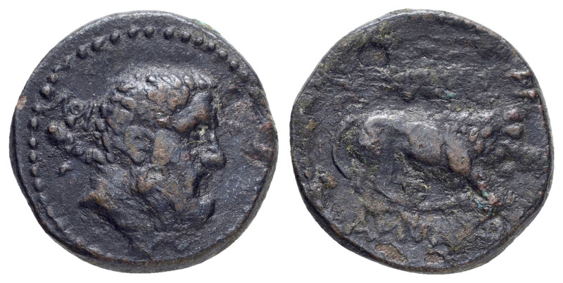 KINGS of GALATIA. Amyntas (36-25 BC). Ae.

Obv : Bearded and bare head of Herakl...