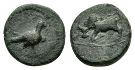 PISIDIA.Konana. (1st century BC.).Ae.

Obv : Eagle standing to right.

Rev : Bull butting left.
Von Aulock, Pisidien II, 765.

Condition : Good very f...