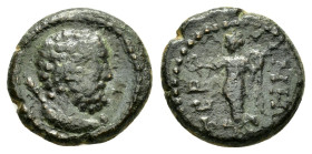 PISIDIA. Termessus. Pseudo-autonomous (3rd century). Ae.

Obv : Bareheaded and draped bust of Herakles right, with club over shoulder.

Rev: TEPMH.
Ni...