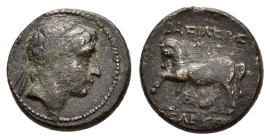 SELEUKID KINGS of SYRIA. Seleukos II Kallinikos.(246-225 BC). Ae.

Obv : Diademed head to right.

Rev. BAΣΙΛΕΩΣ ΣΕΛΕΥΚΟΥ.
Horse prancing to left, two ...