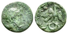 SELEUKID KINGS of SYRIA. Achaios, usurper.(220-214 BC).Sardes

Obv : Laureate head of Zeus to right.

Rev : BAΣΙΛΕΩΣ ΑXAIOY.
Eagle standing front, win...