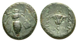 SELEUKID KINGS of SYRIA.Seleukos IV Philopator ? (187-175 BC).Uncertain mint.Ae.

Obv : Bee.

Rev : ΒΑΣΙΛΕΩΣ / ΣΕΛΕΥΚOY.
Rose.
Obolos Web Auction 15, ...