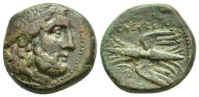 SELEUKID KINGS of SYRIA.Seleucia Pieria.(2nd century BC).Ae.

Obv : Laureate head of Zeus right.

Rev : ΣEΛEYKEΩN.
Thunderbolt; monogram within circle...