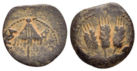 JUDAEA. Agrippa I.(52-59).Jerusalem.Ae.

Obv : BACIΛEWC AΓPIΠA .
Umbrella-like canopy with fringes.

Rev : Three ears of barley growing between two le...