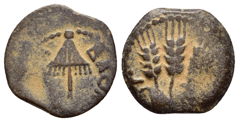 JUDAEA. Agrippa I.(52-59).Jerusalem.Ae.

Obv : BACIΛEWC AΓPIΠA .
Umbrella-like c...