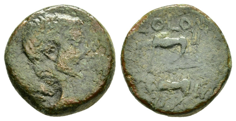 CILICIA. Uncertain. Augustus (27 BC-14 AD). Ae. 

Obv : PRINCEPS FELIX.
Bare hea...