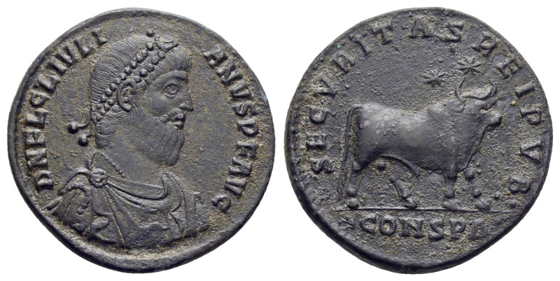 JULIAN II APOSTATA (361-363). Constantinople.Double Maiorina.

Obv : D N FL CL I...