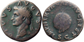Divus Augustus restored by Nerva. Dupondius; Divus Augustus restored by Nerva; Rome, 96-98 AD, Dupondius or As, 11.39g. BM-154, pl. 8.2 (same obv. die...