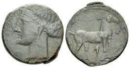 The Carthaginians in Sicily and North Africa, Sardinia Bronze III century BC