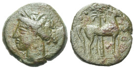 The Carthaginians in Sicily and North Africa, Bronze circa 300 BC