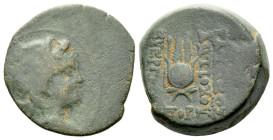 The Seleucid Kings, Antiochus VII Evergetes, 138-129 Bronze circa 138-129