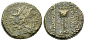 Seleucis ad Pieria, Antiochia Bronze II century
