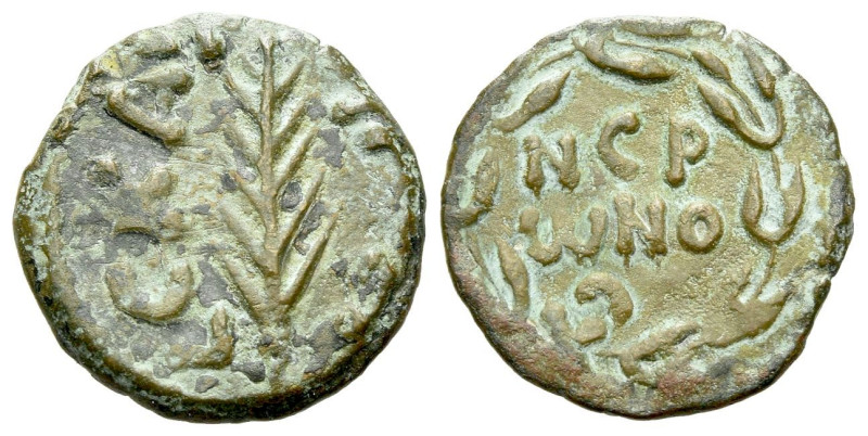 Judaea, Porcius Festus, 59-62 Jerusalem Prutah circa 58-62, Æ 16.00 mm., 2.01 g....