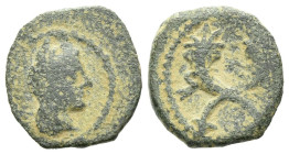 Kings of Nabathaea, Syllaios. Usurper, 9-6 Petra Bronze circa 9-6