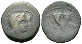 Kings of Nabathaea, Obodas II, with Hagaru I, circa 30-9 BC Bronze circa 30-9 BC