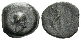 Egypt, Temp. Ptolemy VIII-Cleopatra VII Bronze, Paphos mid II-I century BC