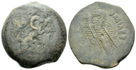 The Ptolemies, Ptolemy VIII Euergetes II, 145-116 Bronze, Alexandria circa 145-116