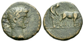 Macedonia, Uncertain mint (Philippi ?) Octavian as Augustus, 27 BC – 14 AD Bronze circa 27 BC - AD 14